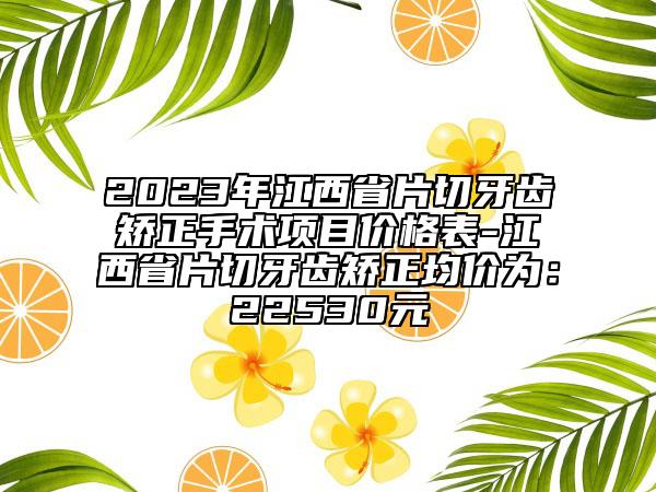 2023年江西省片切牙齿矫正手术项目价格表-江西省片切牙齿矫正均价为：22530元