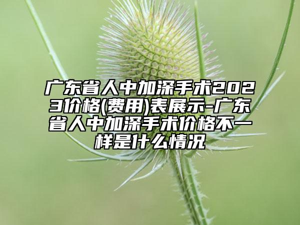 广东省人中加深手术2023价格(费用)表展示-广东省人中加深手术价格不一样是什么情况