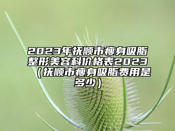 2023年抚顺市瘦身吸脂整形美容科价格表2023（抚顺市瘦身吸脂费用是多少）