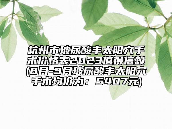 杭州市玻尿酸丰太阳穴手术价格表2023值得信赖(8月-3月玻尿酸丰太阳穴手术均价为：5407元)