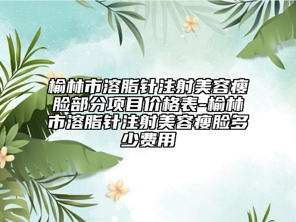 榆林市溶脂针注射美容瘦脸部分项目价格表-榆林市溶脂针注射美容瘦脸多少费用