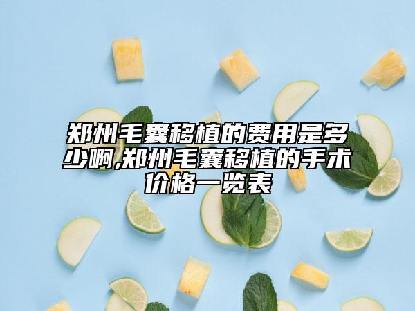 郑州毛囊移植的费用是多少啊,郑州毛囊移植的手术价格一览表