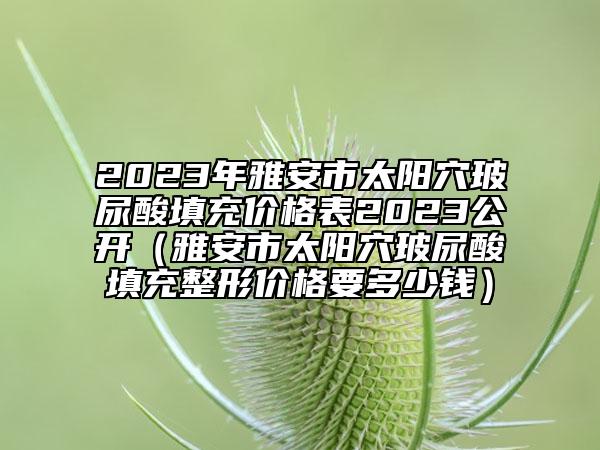 2023年雅安市太阳穴玻尿酸填充价格表2023公开（雅安市太阳穴玻尿酸填充整形价格要多少钱）