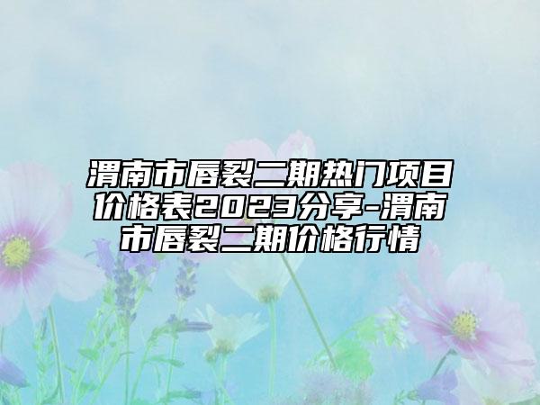 渭南市唇裂二期热门项目价格表2023分享-渭南市唇裂二期价格行情