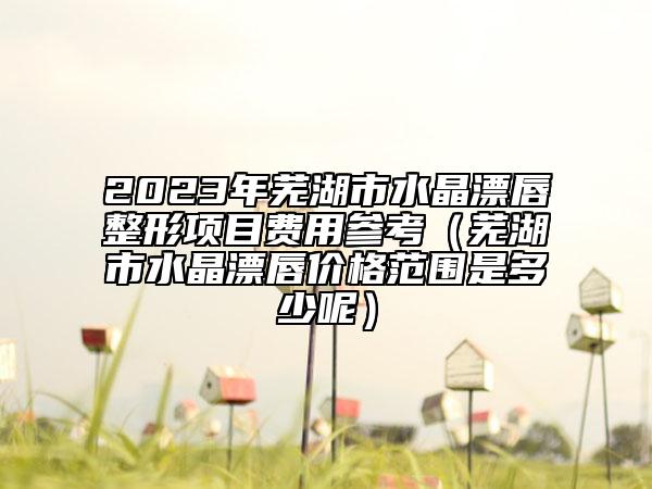 2023年芜湖市水晶漂唇整形项目费用参考（芜湖市水晶漂唇价格范围是多少呢）