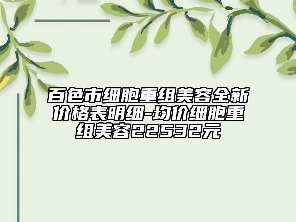 百色市细胞重组美容全新价格表明细-均价细胞重组美容22532元