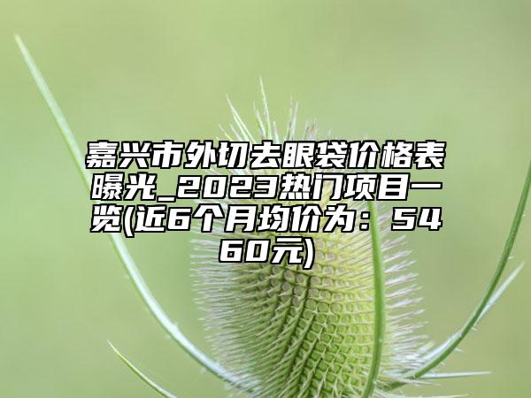 嘉兴市外切去眼袋价格表曝光_2023热门项目一览(近6个月均价为：5460元)