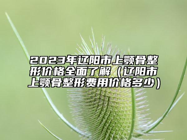 2023年辽阳市上颚骨整形价格全面了解（辽阳市上颚骨整形费用价格多少）