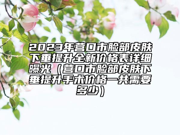 2023年营口市脸部皮肤下垂提升全新价格表详细曝光（营口市脸部皮肤下垂提升手术价格一共需要多少）