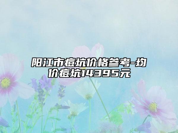 阳江市痘坑价格参考-均价痘坑14395元