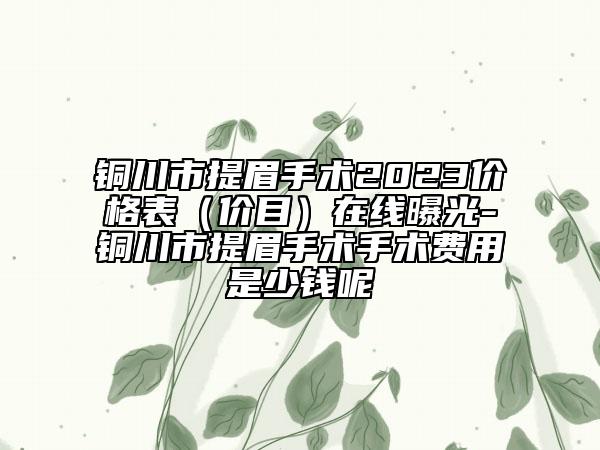 铜川市提眉手术2023价格表（价目）在线曝光-铜川市提眉手术手术费用是少钱呢