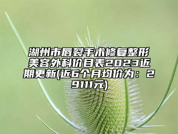 湖州市唇裂手术修复整形美容外科价目表2023近期更新(近6个月均价为：29111元)