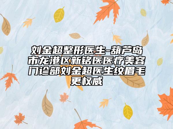 刘金超整形医生-葫芦岛市龙港区新铭医医疗美容门诊部刘金超医生纹眉毛更权威