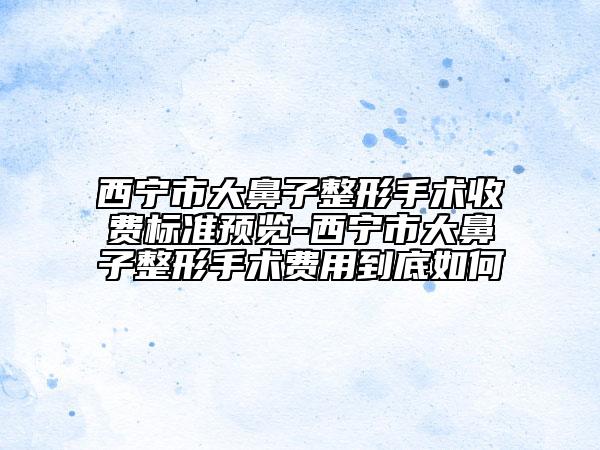 西宁市大鼻子整形手术收费标准预览-西宁市大鼻子整形手术费用到底如何