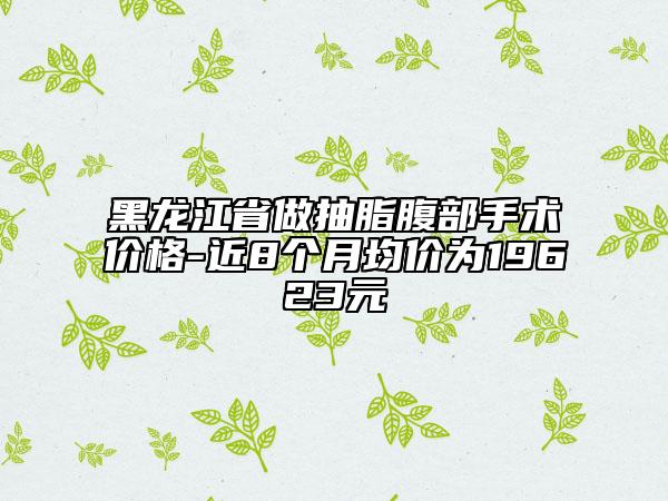 黑龙江省做抽脂腹部手术价格-近8个月均价为19623元