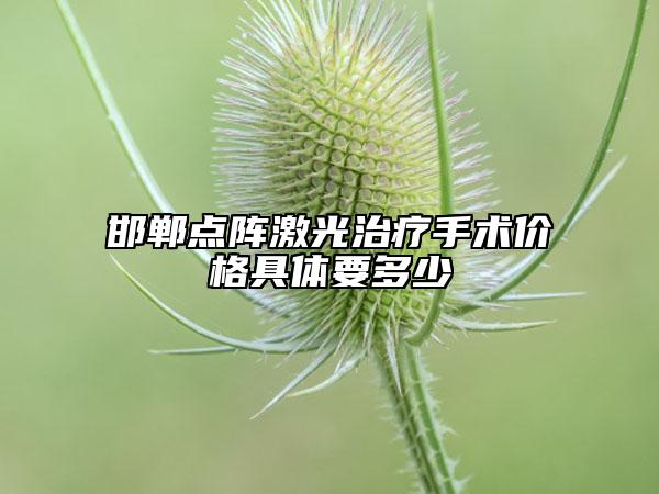 邯郸点阵激光治疗手术价格具体要多少