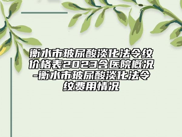 衡水市玻尿酸淡化法令纹价格表2023含医院概况-衡水市玻尿酸淡化法令纹费用情况