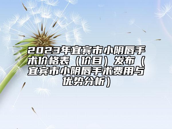 2023年宜宾市小阴唇手术价格表（价目）发布（宜宾市小阴唇手术费用与优势分析）