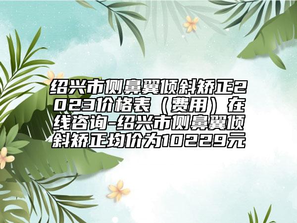 绍兴市侧鼻翼倾斜矫正2023价格表（费用）在线咨询-绍兴市侧鼻翼倾斜矫正均价为10229元