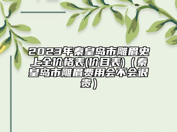 2023年秦皇岛市雕眉史上全价格表(价目表)（秦皇岛市雕眉费用会不会很贵）