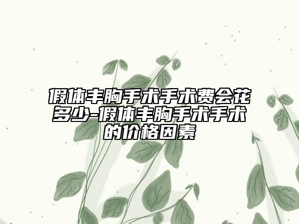 假体丰胸手术手术费会花多少-假体丰胸手术手术的价格因素