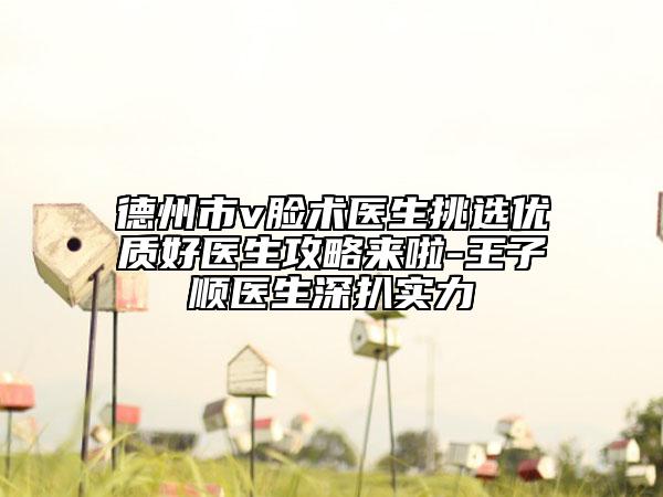 德州市v脸术医生挑选优质好医生攻略来啦-王子顺医生深扒实力