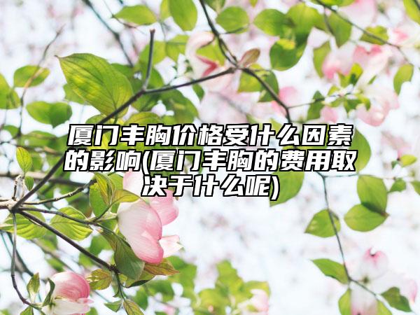 厦门丰胸价格受什么因素的影响(厦门丰胸的费用取决于什么呢)