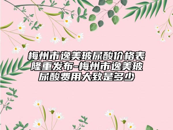 梅州市逸美玻尿酸价格表隆重发布-梅州市逸美玻尿酸费用大致是多少