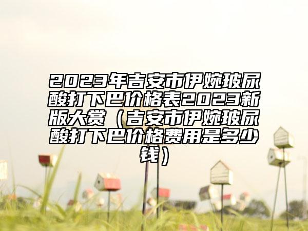 2023年吉安市伊婉玻尿酸打下巴价格表2023新版大赏（吉安市伊婉玻尿酸打下巴价格费用是多少钱）