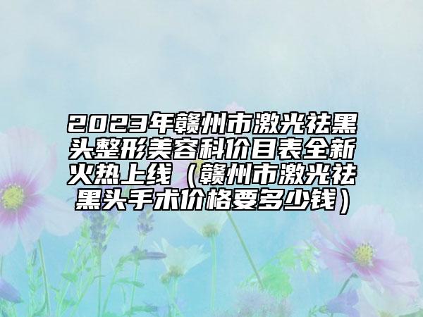 2023年赣州市激光祛黑头整形美容科价目表全新火热上线（赣州市激光祛黑头手术价格要多少钱）