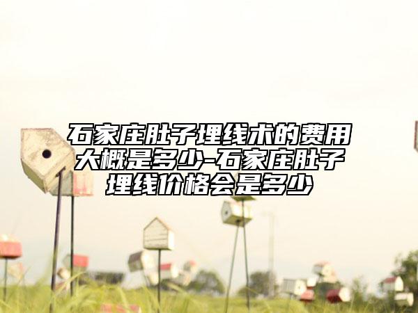 石家庄肚子埋线术的费用大概是多少-石家庄肚子埋线价格会是多少