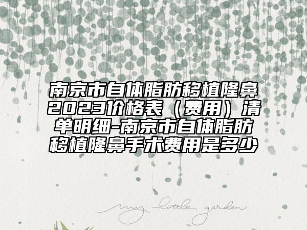 南京市自体脂肪移植隆鼻2023价格表（费用）清单明细-南京市自体脂肪移植隆鼻手术费用是多少