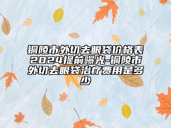 铜陵市外切去眼袋价格表2024提前曝光-铜陵市外切去眼袋治疗费用是多少