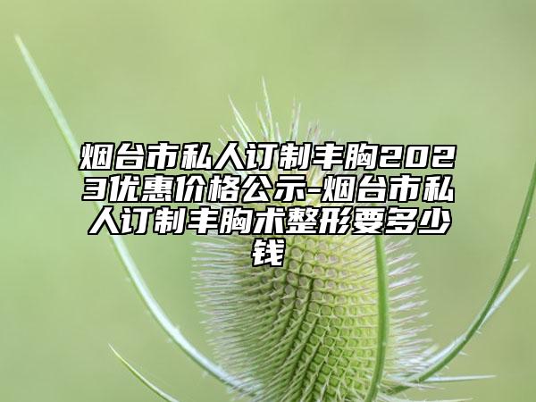 烟台市私人订制丰胸2023优惠价格公示-烟台市私人订制丰胸术整形要多少钱