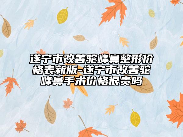 遂宁市改善驼峰鼻整形价格表新版-遂宁市改善驼峰鼻手术价格很贵吗