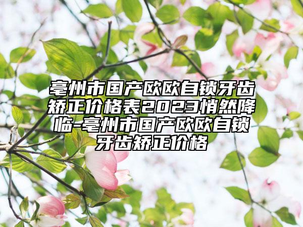 亳州市国产欧欧自锁牙齿矫正价格表2023悄然降临-亳州市国产欧欧自锁牙齿矫正价格