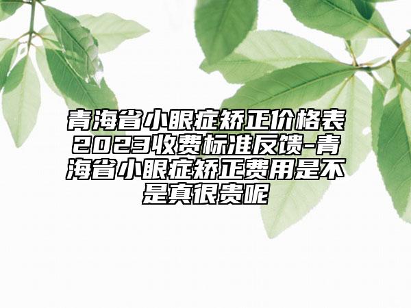 青海省小眼症矫正价格表2023收费标准反馈-青海省小眼症矫正费用是不是真很贵呢