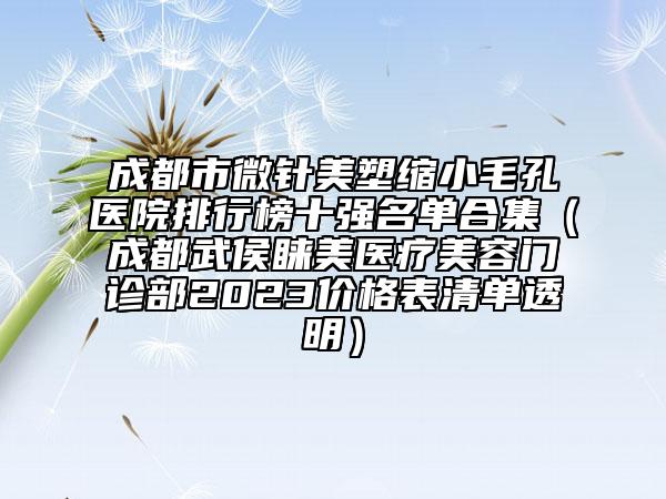 成都市微针美塑缩小毛孔医院排行榜十强名单合集（成都武侯睐美医疗美容门诊部2023价格表清单透明）