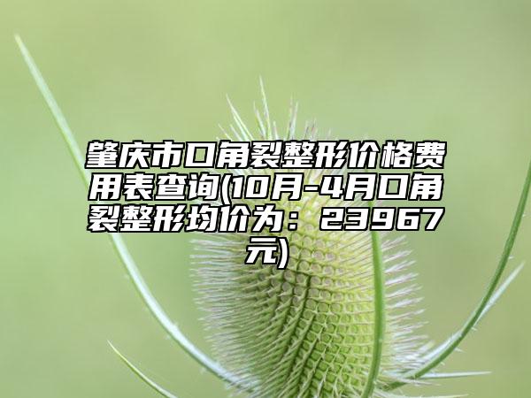 肇庆市口角裂整形价格费用表查询(10月-4月口角裂整形均价为：23967元)