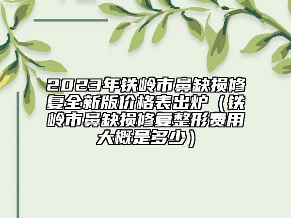 2023年铁岭市鼻缺损修复全新版价格表出炉（铁岭市鼻缺损修复整形费用大概是多少）