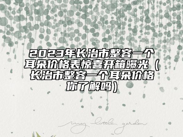 2023年长治市整容一个耳朵价格表惊喜开箱曝光（长治市整容一个耳朵价格你了解吗）