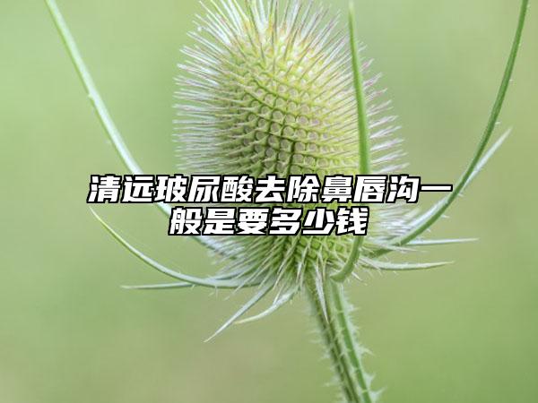 清远玻尿酸去除鼻唇沟一般是要多少钱