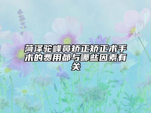 菏泽驼峰鼻矫正矫正术手术的费用都与哪些因素有关