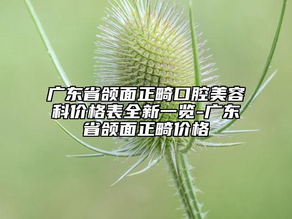 广东省颌面正畸口腔美容科价格表全新一览-广东省颌面正畸价格