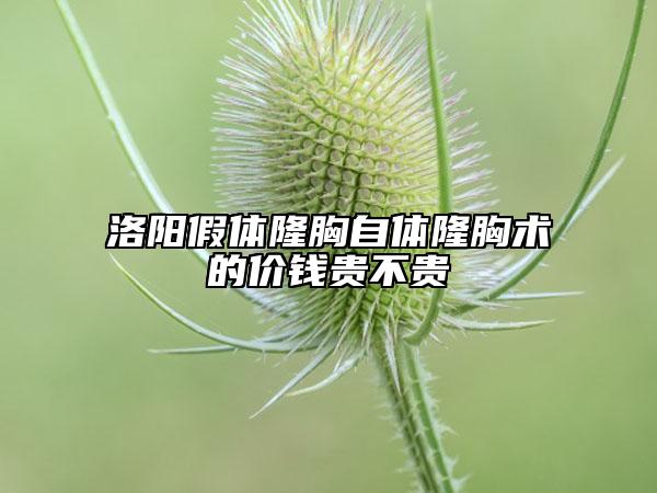 洛阳假体隆胸自体隆胸术的价钱贵不贵