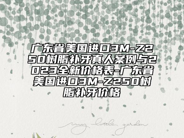 广东省美国进口3M-Z250树脂补牙真人案例与2023全新价格表-广东省美国进口3M-Z250树脂补牙价格