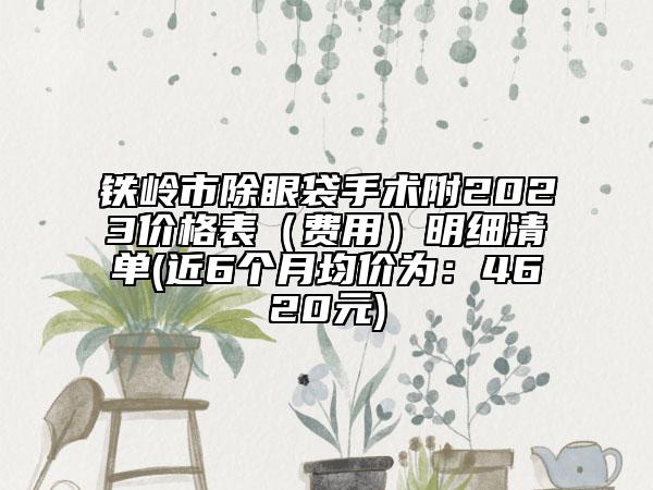 铁岭市除眼袋手术附2023价格表（费用）明细清单(近6个月均价为：4620元)