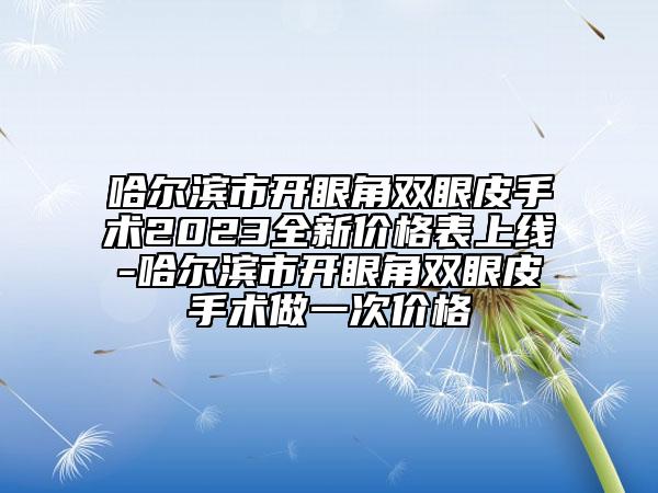 哈尔滨市开眼角双眼皮手术2023全新价格表上线-哈尔滨市开眼角双眼皮手术做一次价格