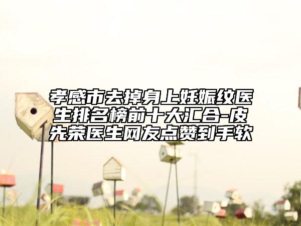 孝感市去掉身上妊娠纹医生排名榜前十大汇合-皮先荣医生网友点赞到手软