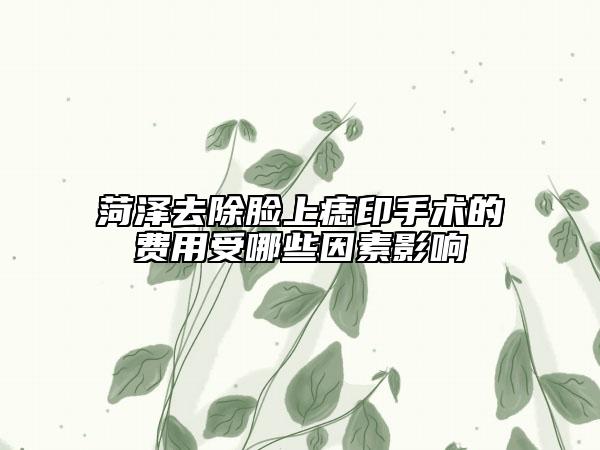 菏泽去除脸上痣印手术的费用受哪些因素影响